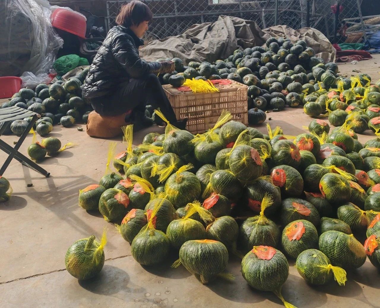 微信圖片_20250309084430.jpg